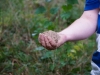 DSC01168