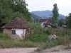 DSC01217