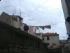 IMAG2690