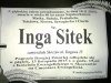 IMAG3376