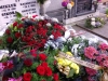 Kopia_zapasowa_IMAG3378