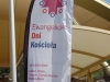DSC_2330