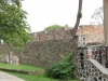 DSC_3781 (Kopiowanie)