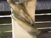 20180531_162034